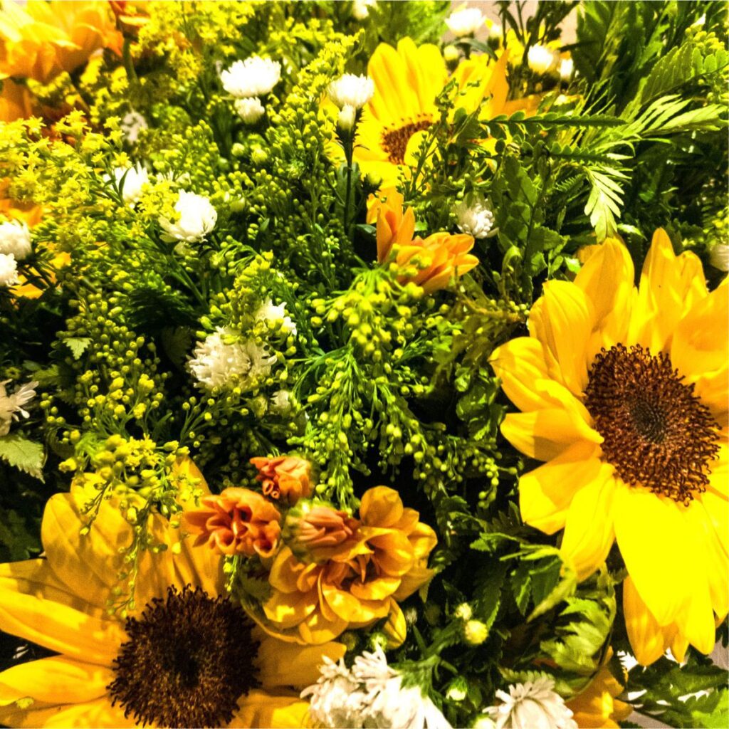 Buque-girassol-grande-02