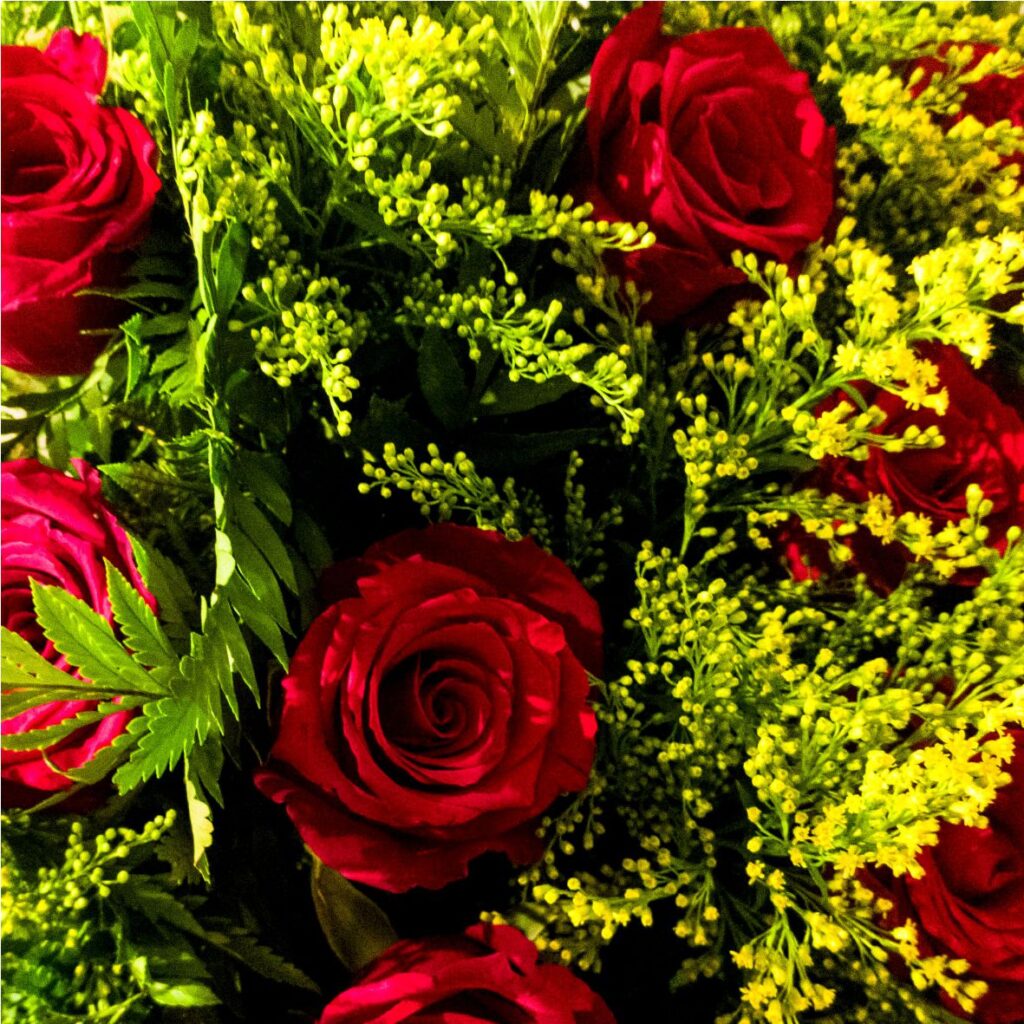 Buque-rosas-grande-02