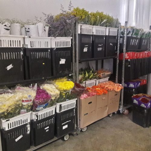 20161006_104535_Richtone(HDR)