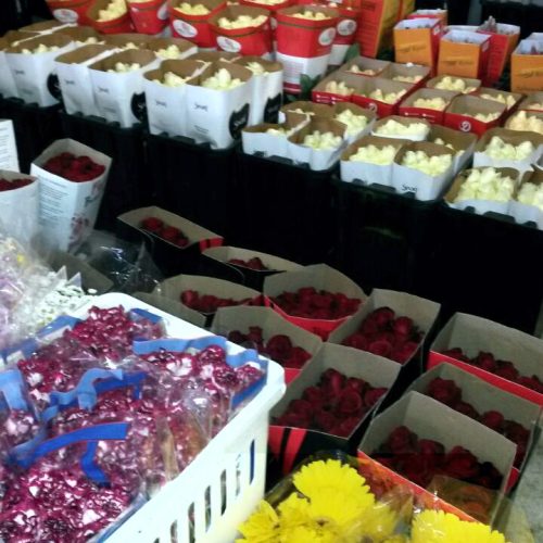 WhatsApp-Image-20160714 (3)1