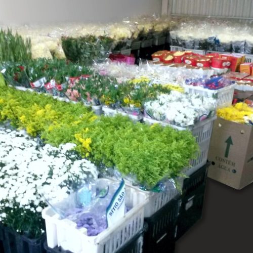 WhatsApp-Image-20160714 (4)1