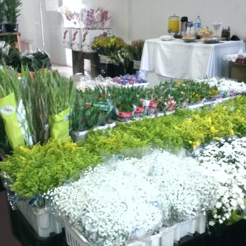 WhatsApp-Image-20160714 (5)1